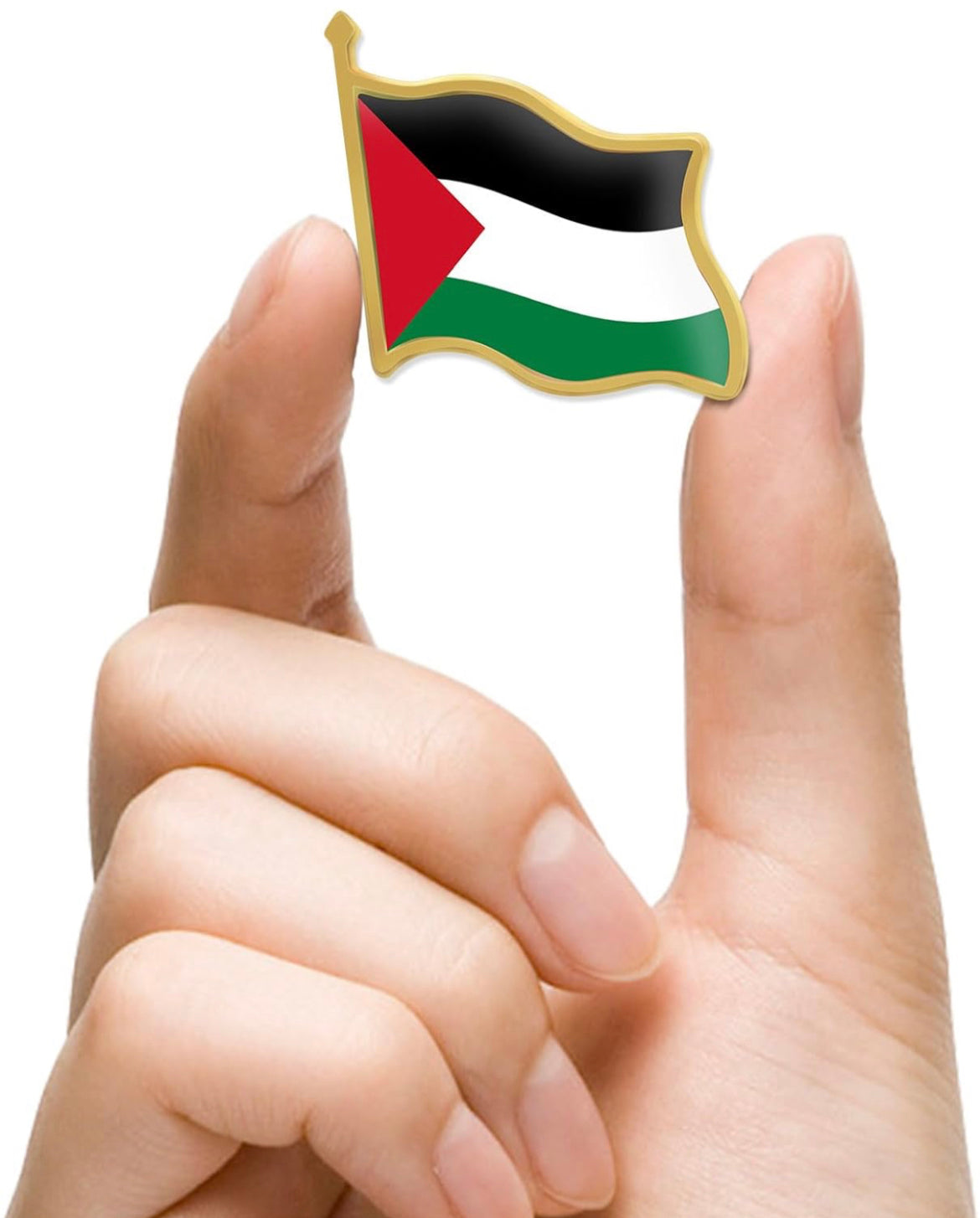 Palestine Pins